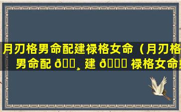 月刃格男命配建禄格女命（月刃格男命配 🌸 建 🐕 禄格女命好不好）